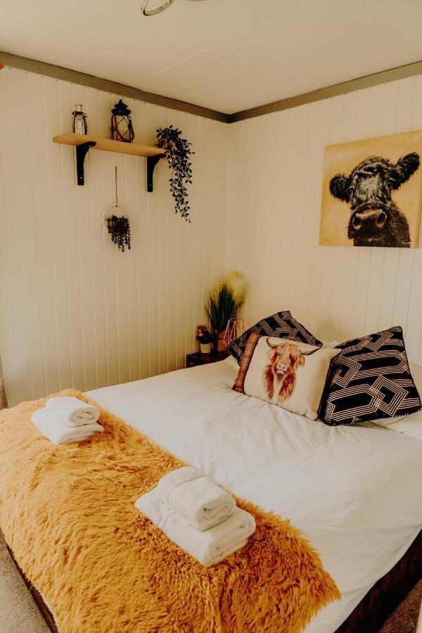 Wooden Cosy Retreat Hunters Quay Dunoon Exterior foto